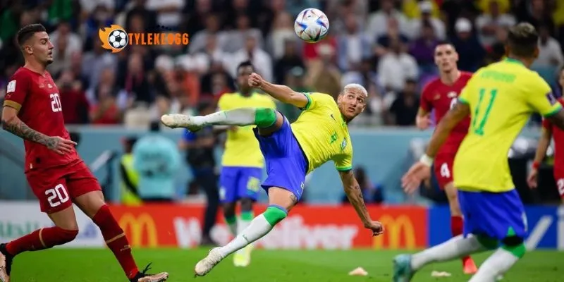 Lực lượng Bosnia và Herzegovina vs Qatar